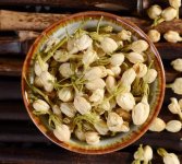 鮮茉莉花怎么炮制成茶？