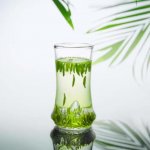正宗的竹葉青產(chǎn)自哪里？