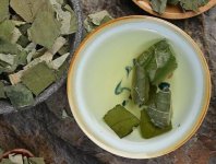 荷葉茶為什么叫短命茶？