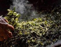 炒茶葉的四大步驟？