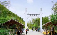 5月12日：徒步貢茶古道，天然氧吧，綠色之旅